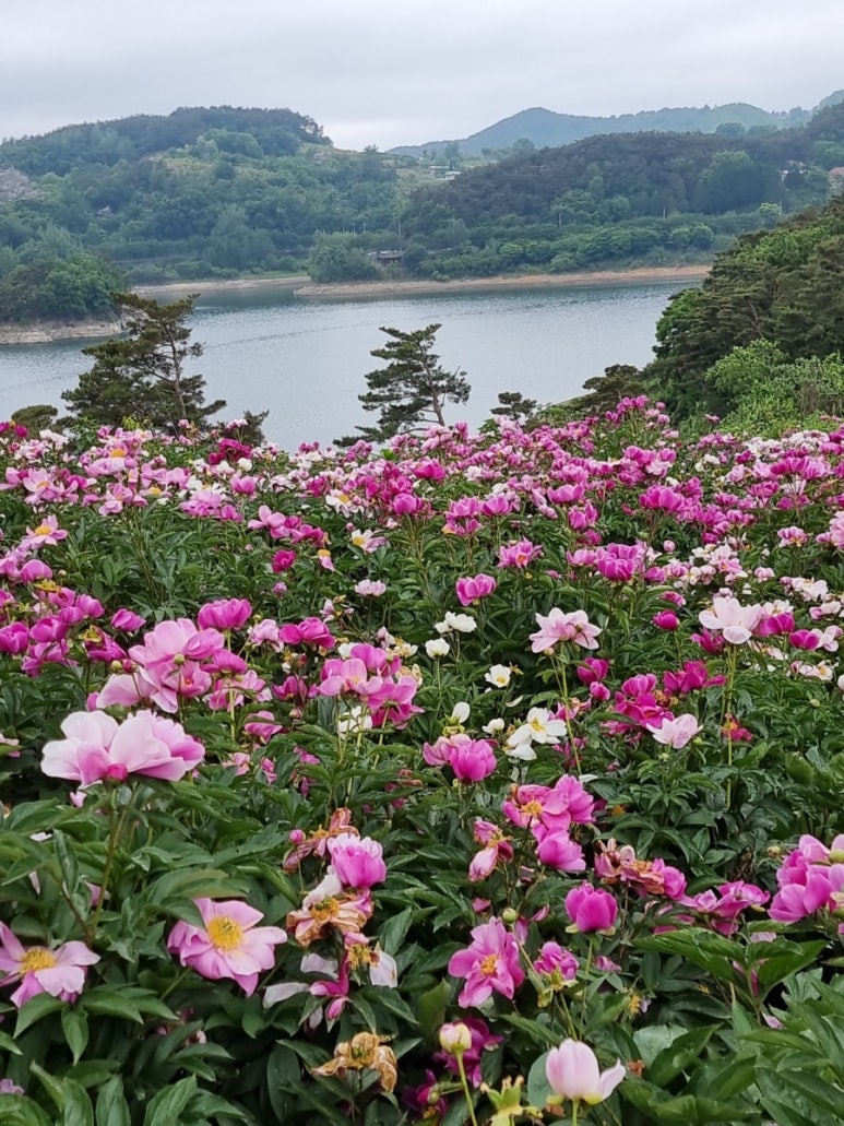 굿모닝해피데이 이미지
