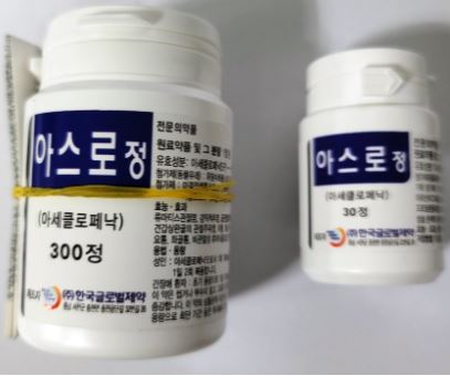 정글로벌 이미지