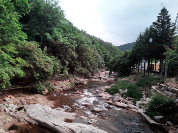 삼양여행사 이미지
