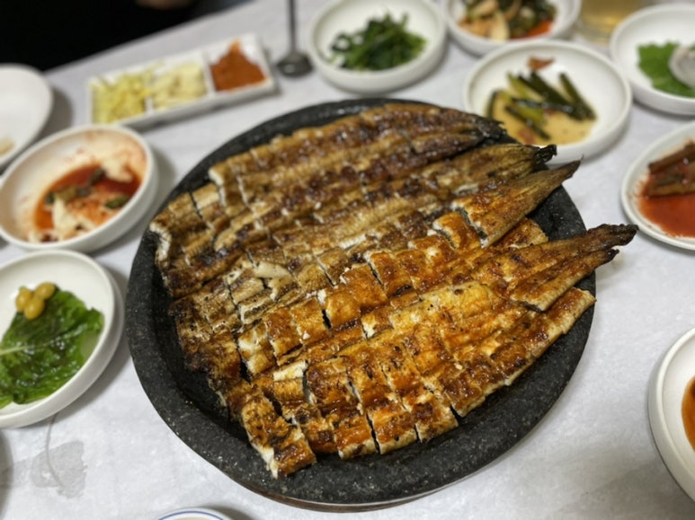 우수영민물장어 이미지