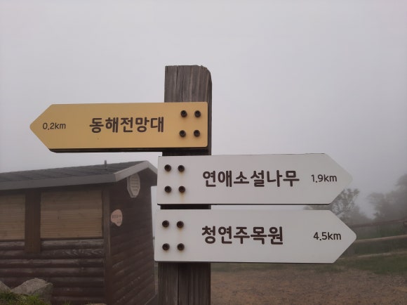 삼양여행사 이미지