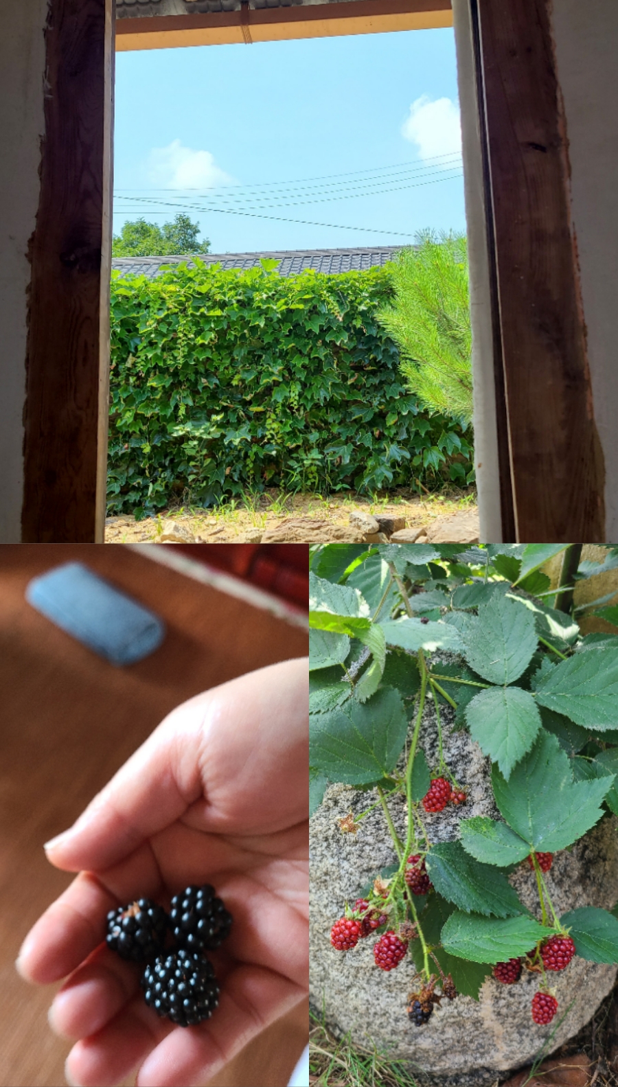 대전민화공방 이미지