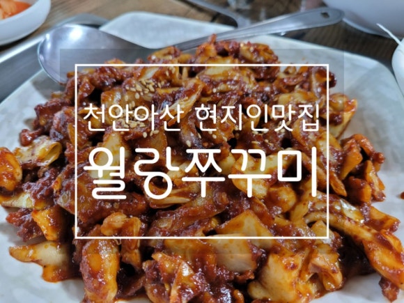 월랑쭈꾸미아산 이미지