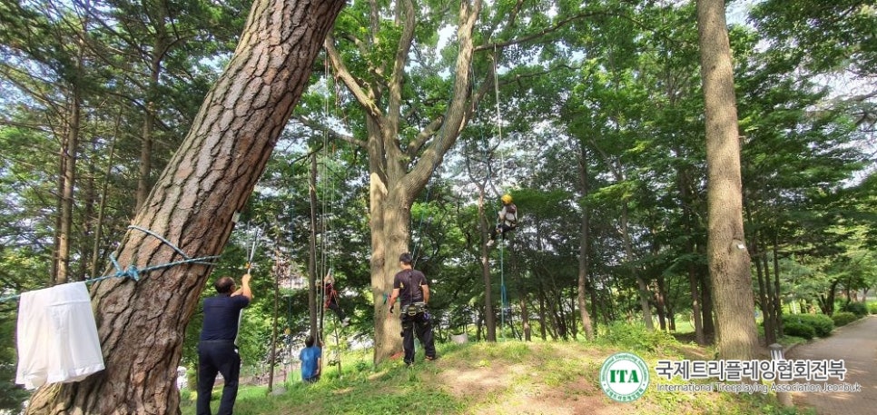 국제트리플레잉협회 이미지