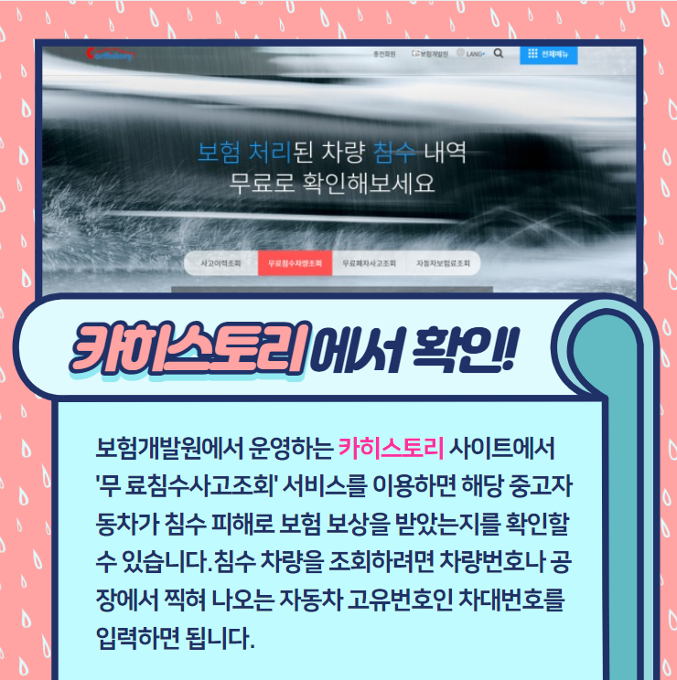 카모터스 이미지