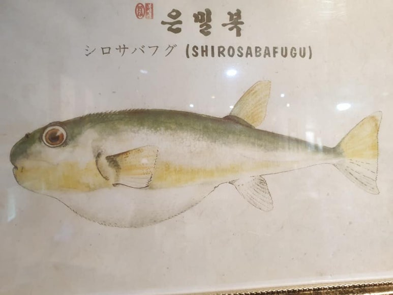 굴러들어온 복집 이미지
