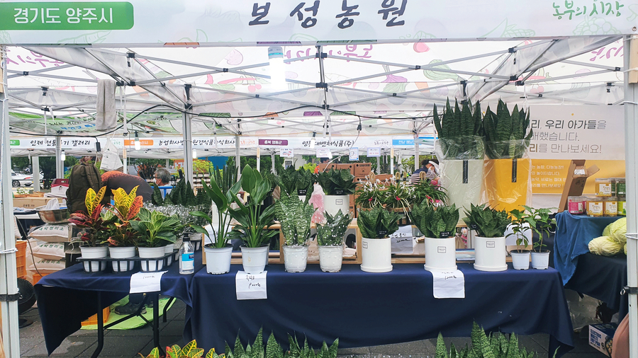 두메골농원 이미지