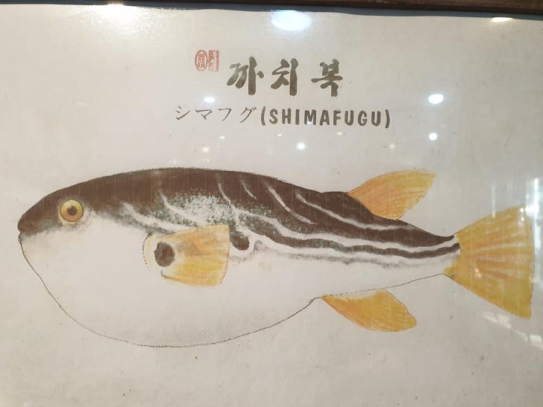 굴러들어온 복집 이미지