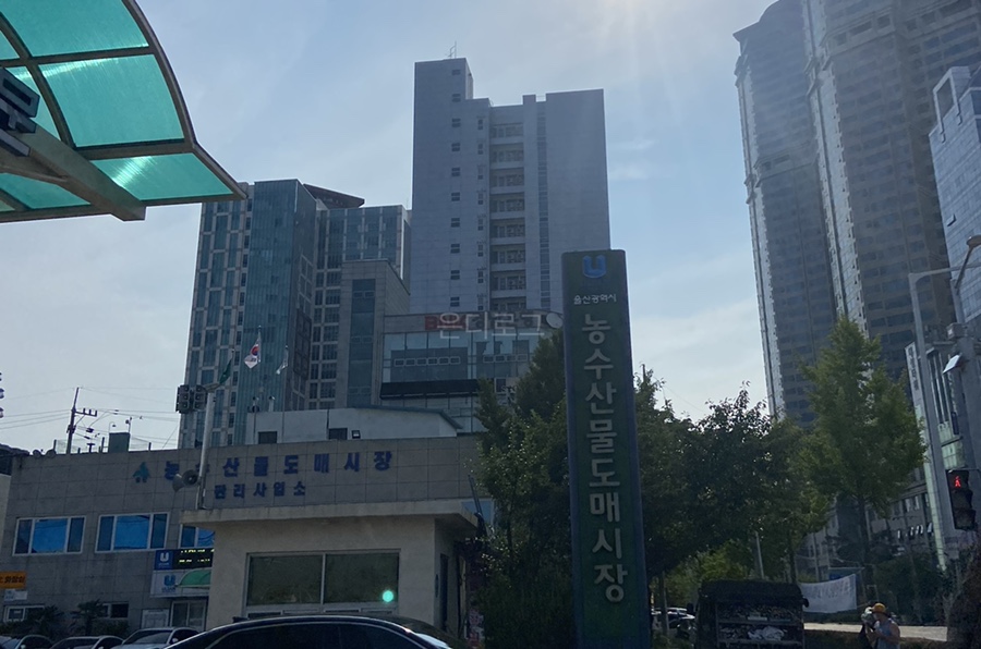 진호상회 이미지