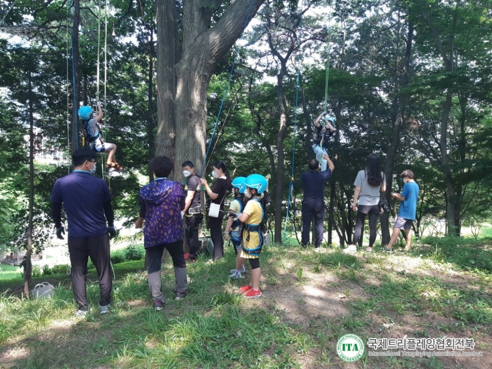 국제트리플레잉협회 이미지