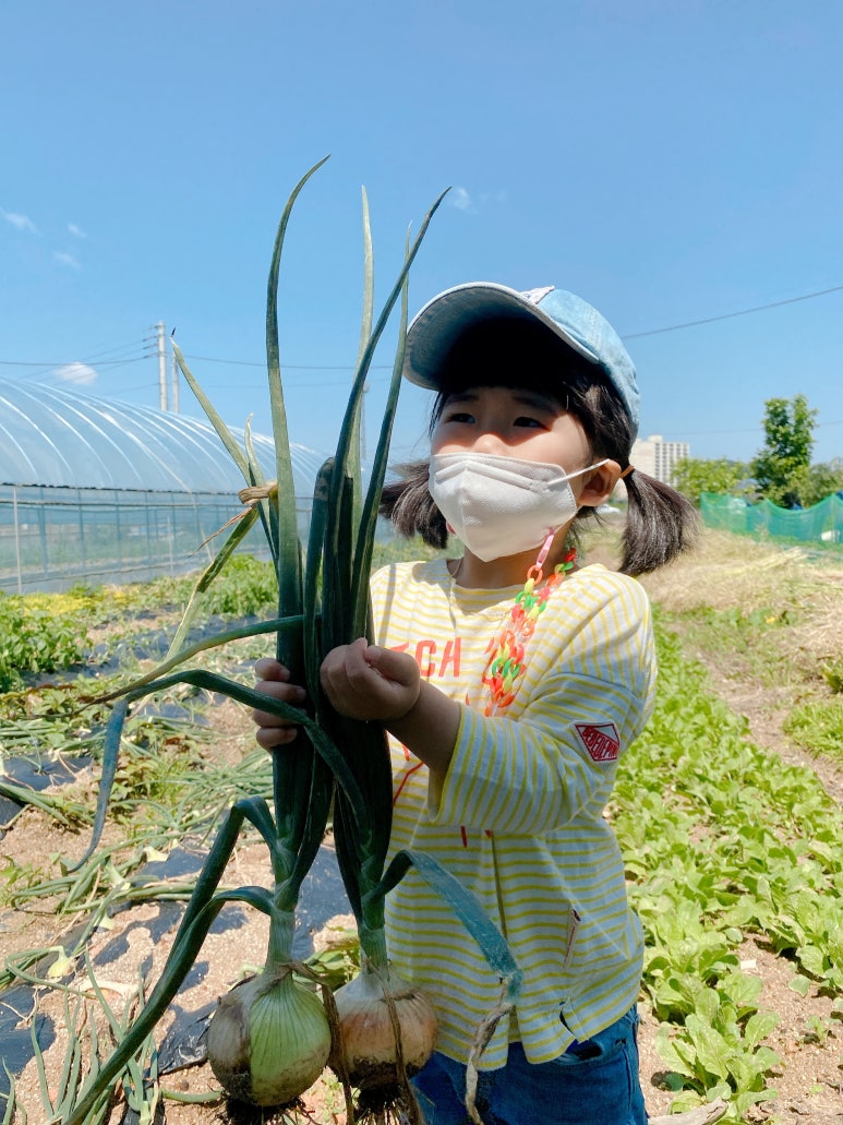 청풍오리 이미지