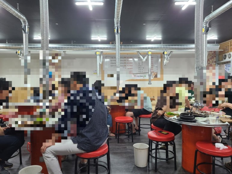 돼지영농후계자 이미지