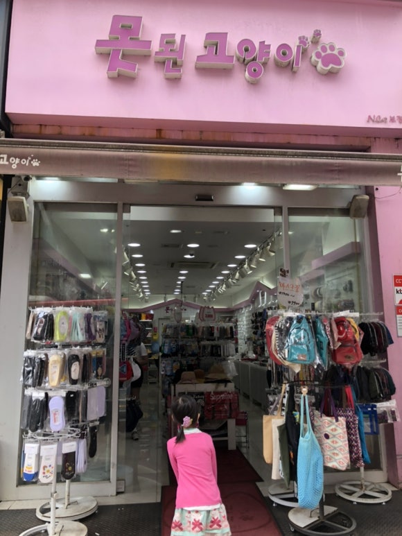 못된고양이 이미지