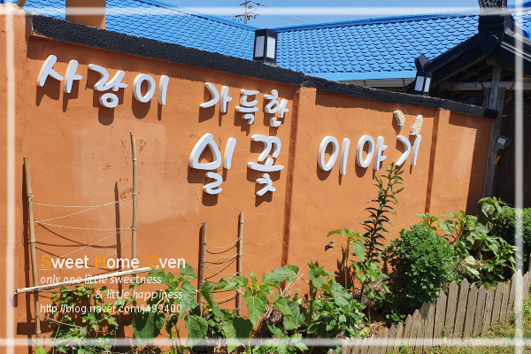 밀꽃이야기 이미지