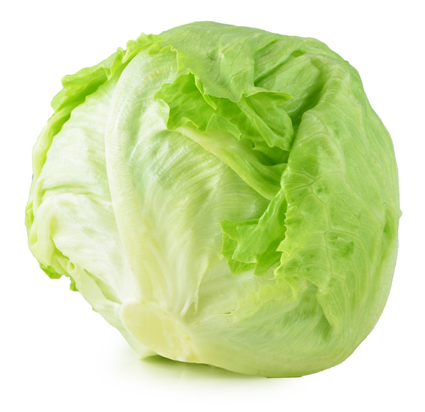 풀마니 이미지