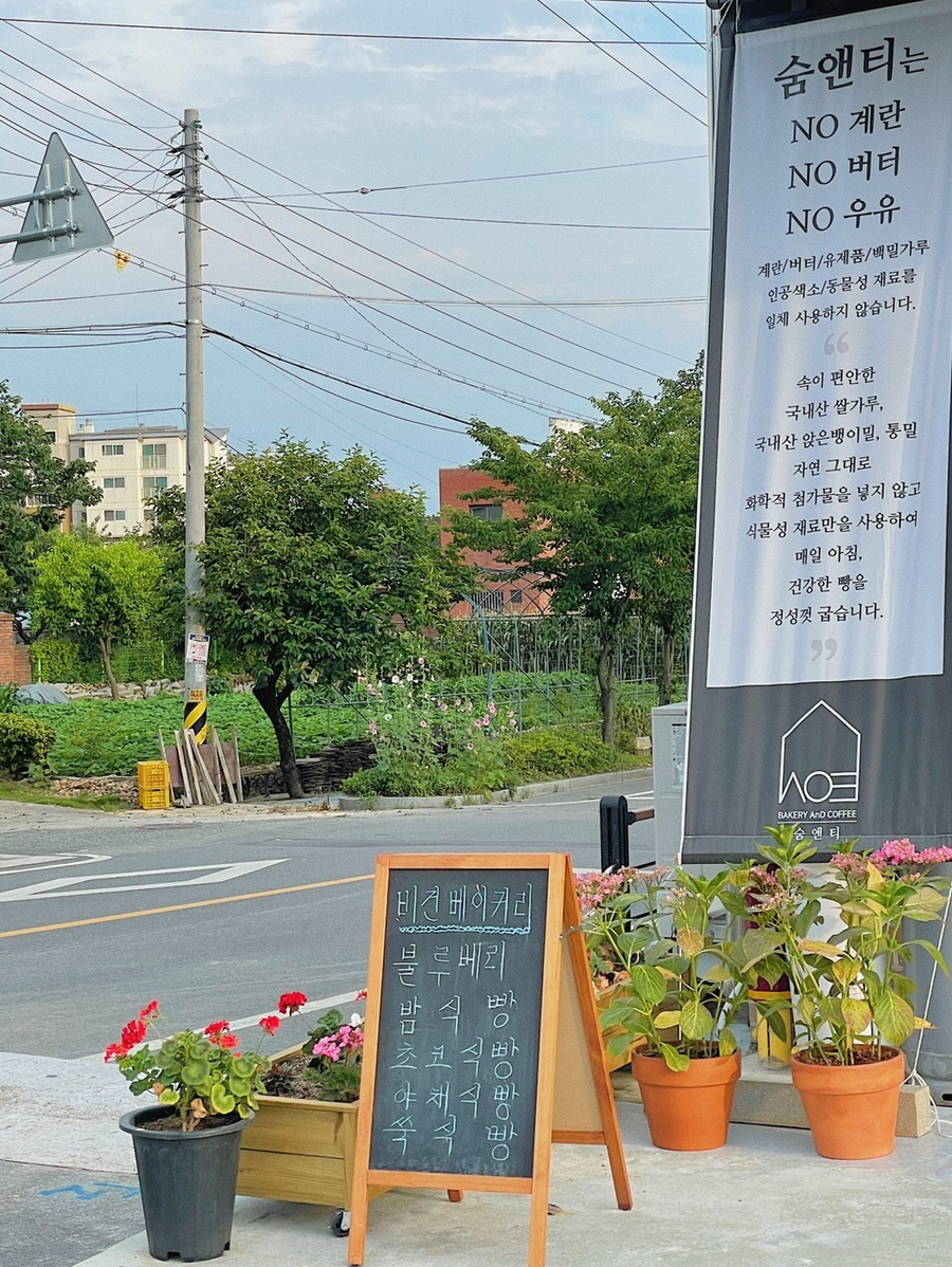 숨앤티 이미지