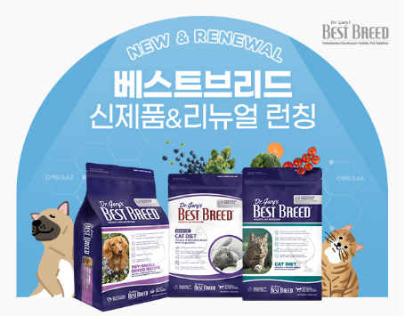 진베스트 이미지