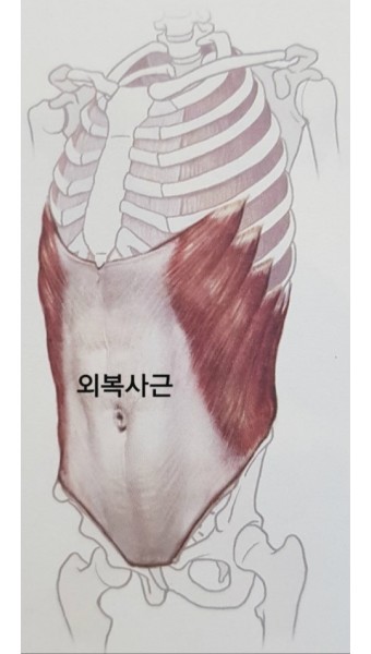 구공피티스튜디오 이미지