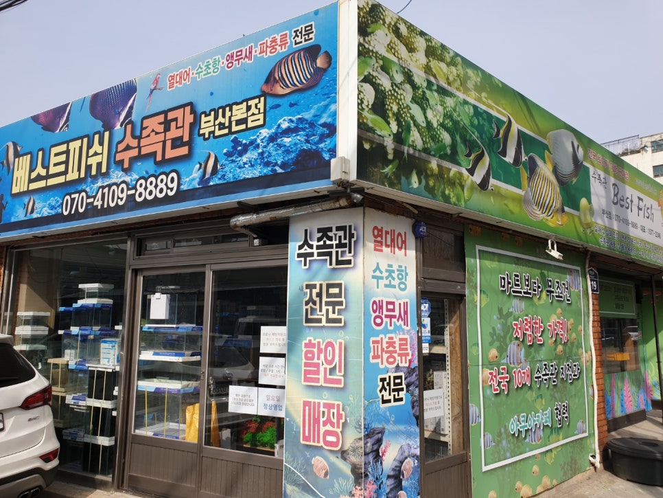 행복한수족관 이미지