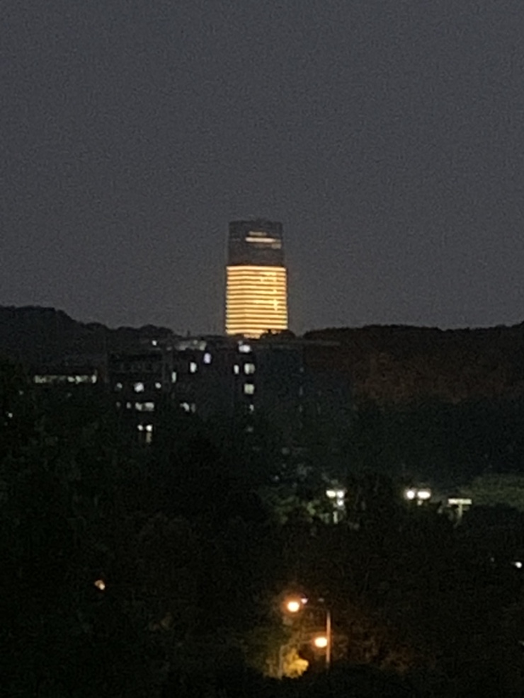 줌인사이언스 이미지