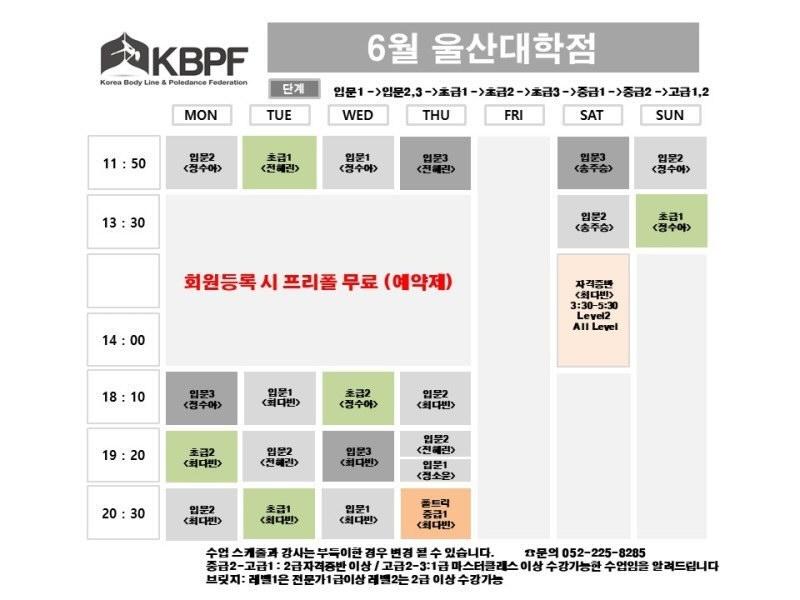 대한폴댄스연맹학원 이미지