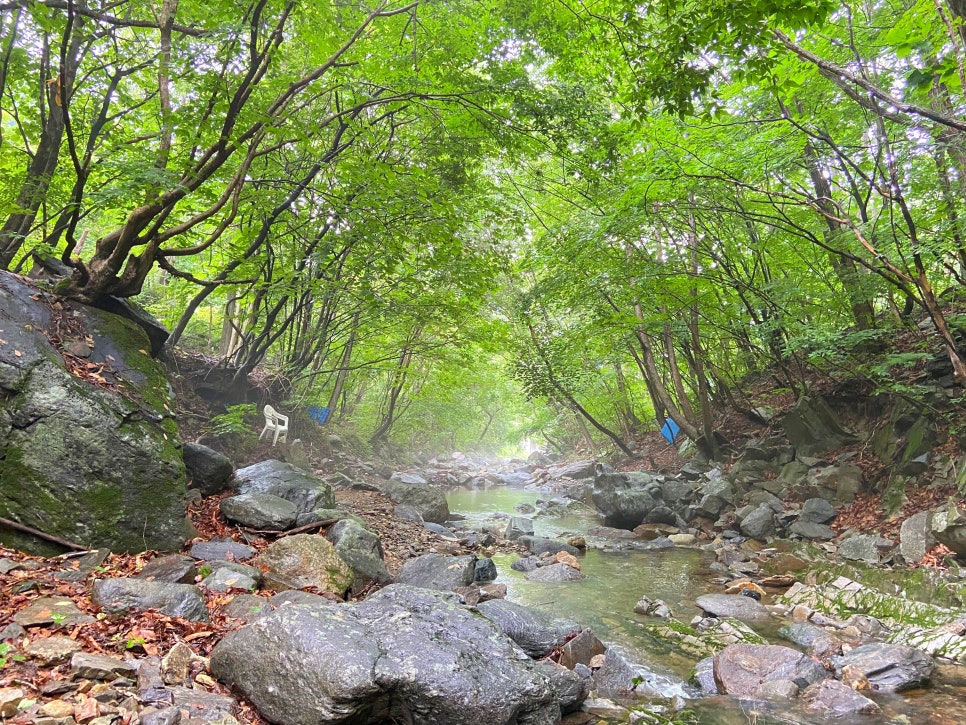 춘천마당발펜션 이미지