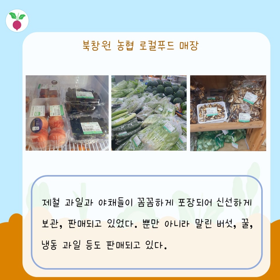 북창원농협 하나로마트 이미지
