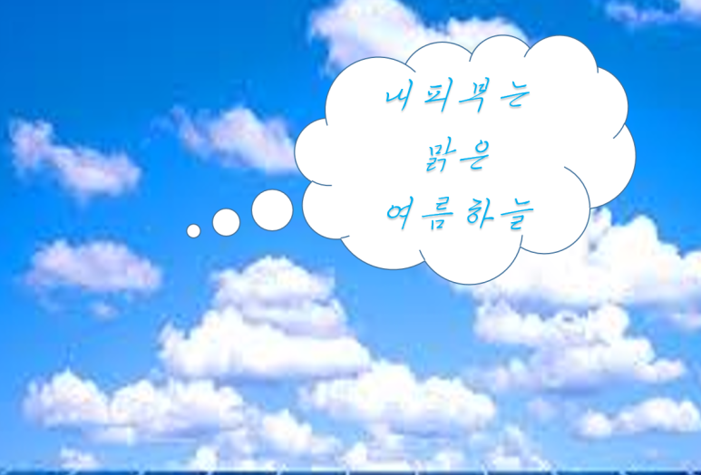 피누스스토어 일류 이미지