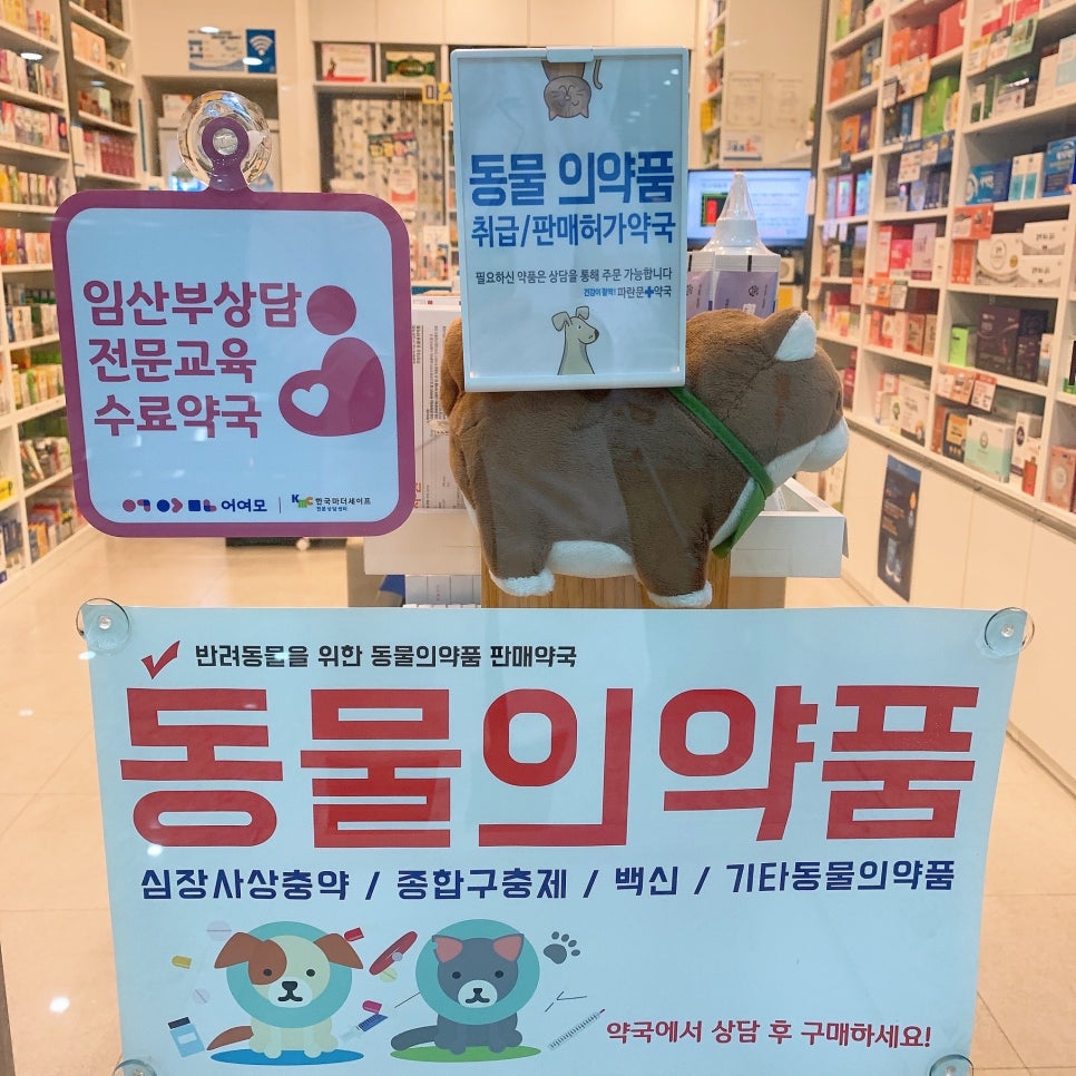 파란문 이미지