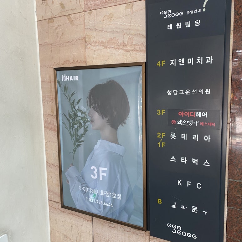 안나스파염색 이미지