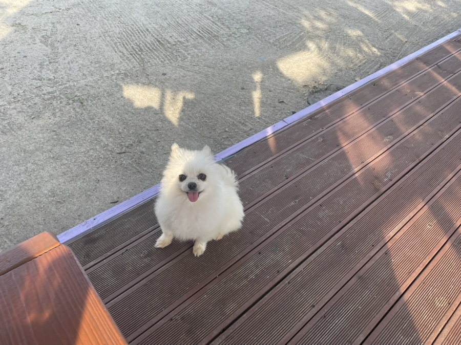 가덕도바다장어 이미지