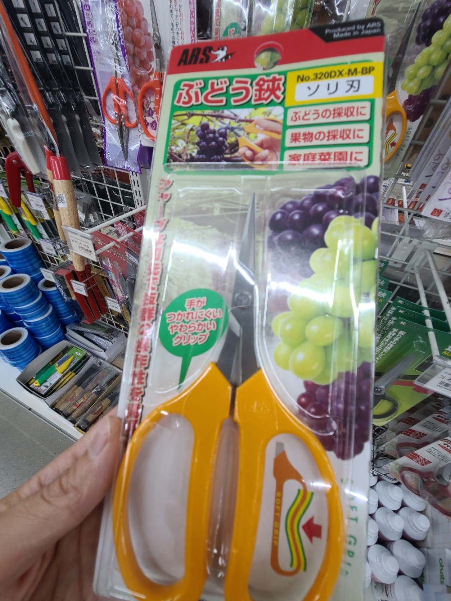 부농원 이미지