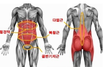 구공피티스튜디오 이미지