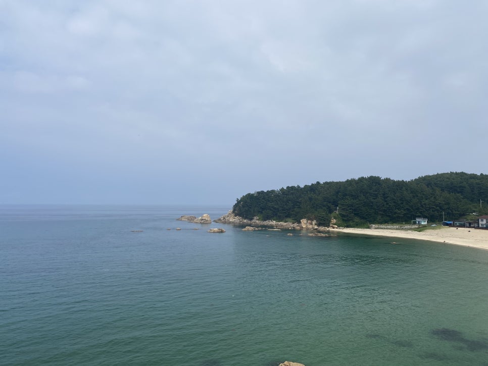동호면옥 이미지