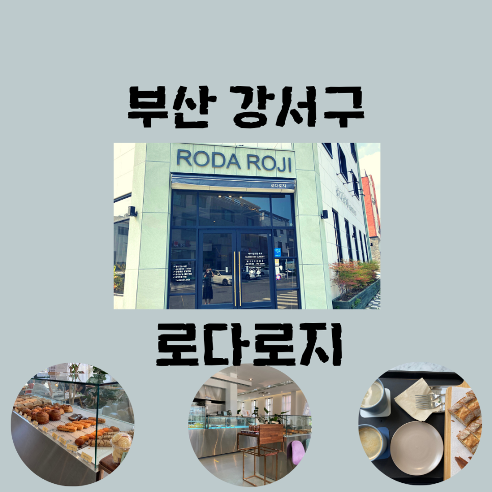 로다로지 이미지