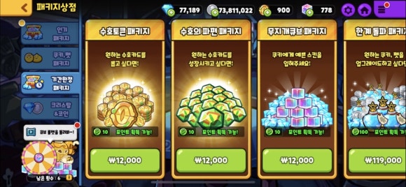 수호시스템 이미지
