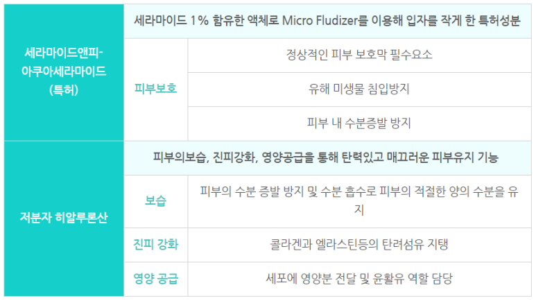 진피앤피 이미지