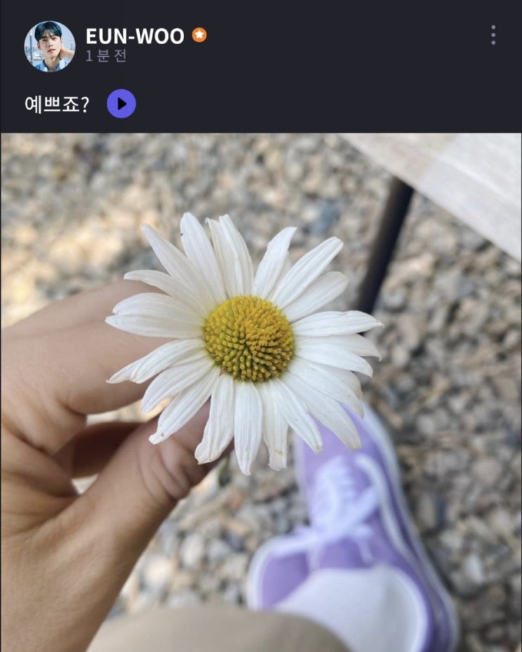 푸르릇 이미지