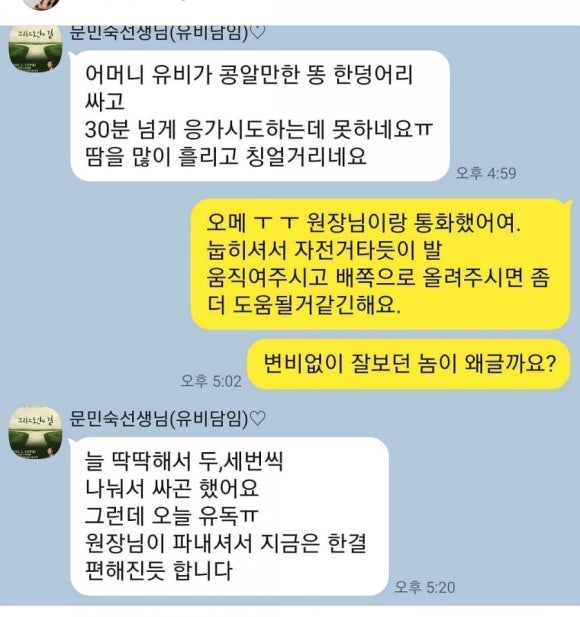 마리아어린이집 이미지