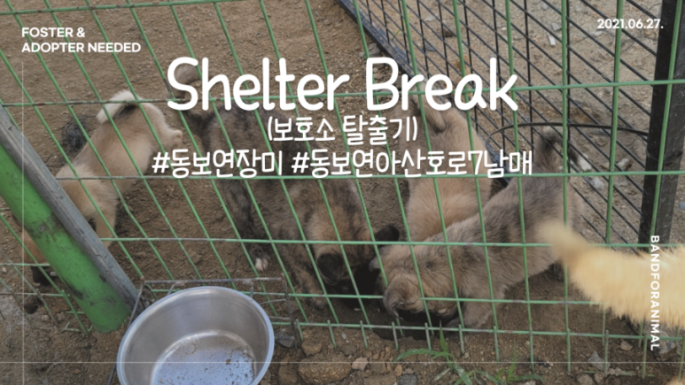 다래ENG 이미지