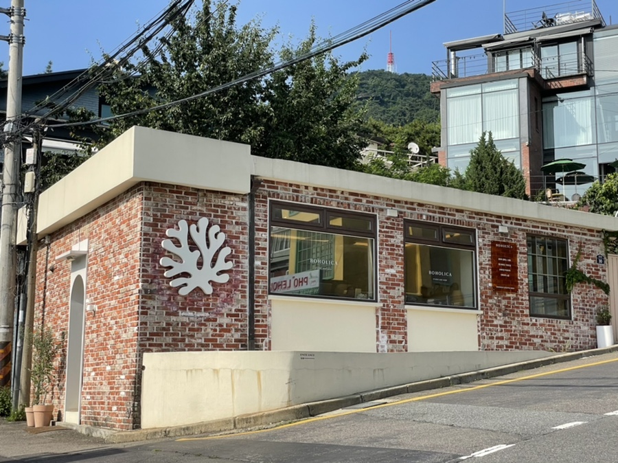 보호리카 이미지