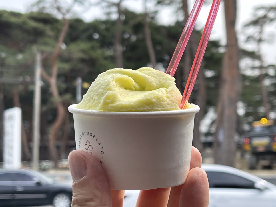 초당마을 이미지