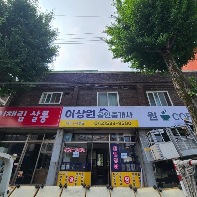 이채림살롱 이미지