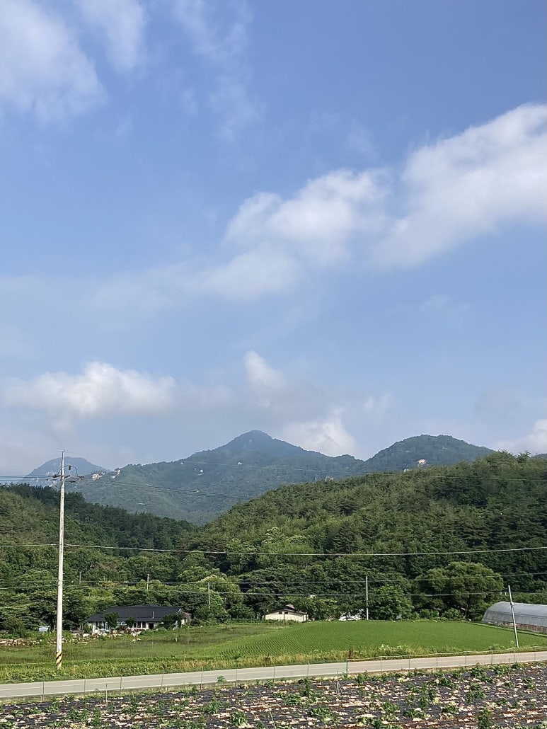 가은 해솔 캠핑장 이미지