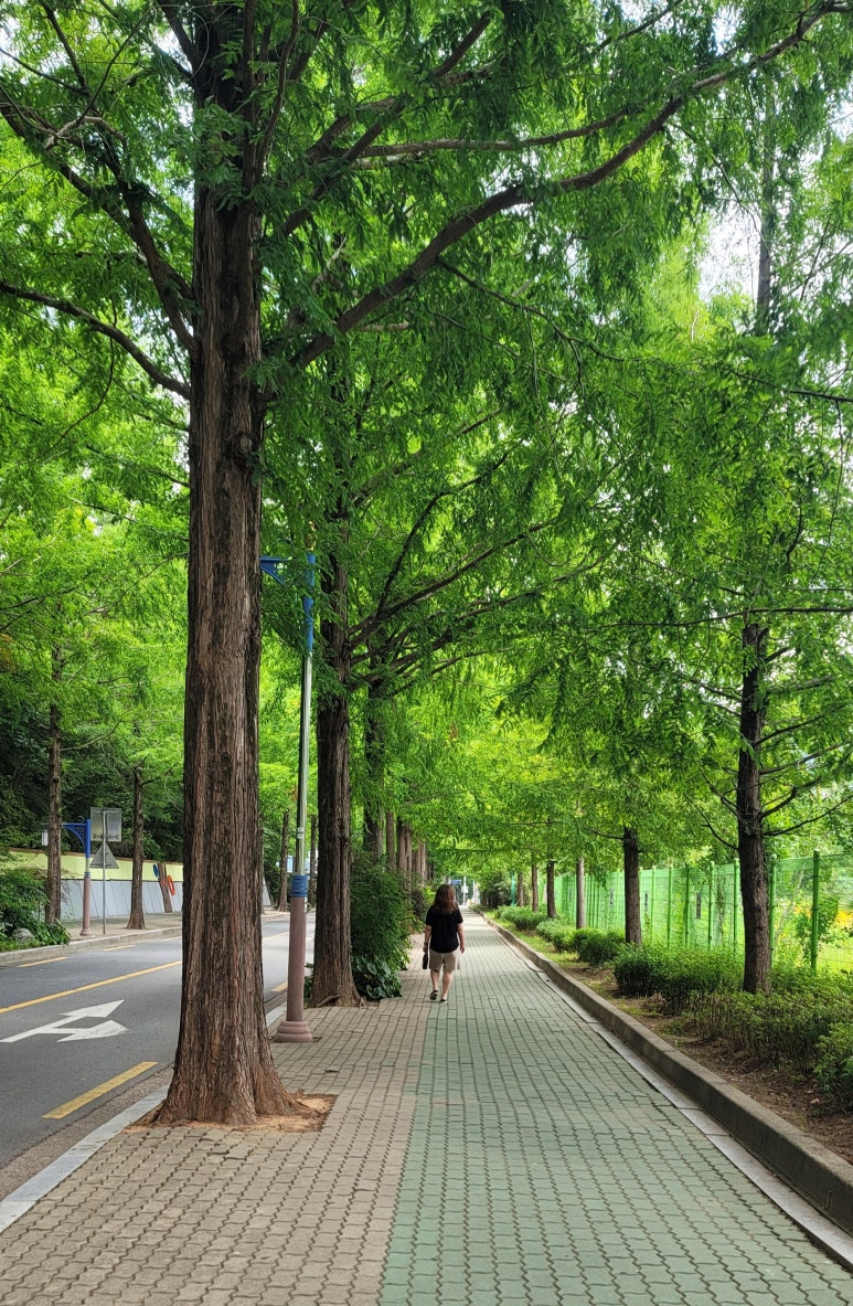카페도토 이미지