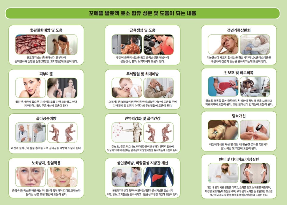 예그리 이미지