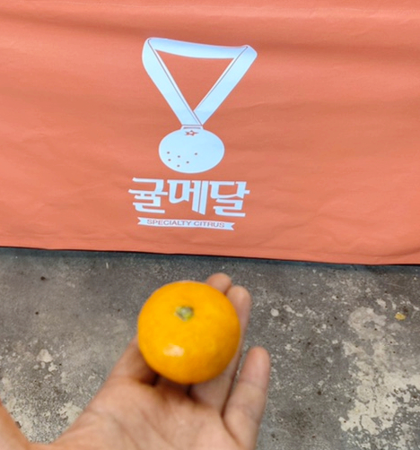 귤메달하우스 이미지