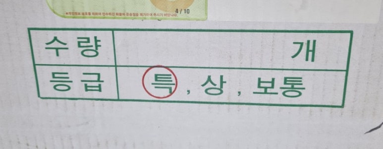 푸른상사 이미지