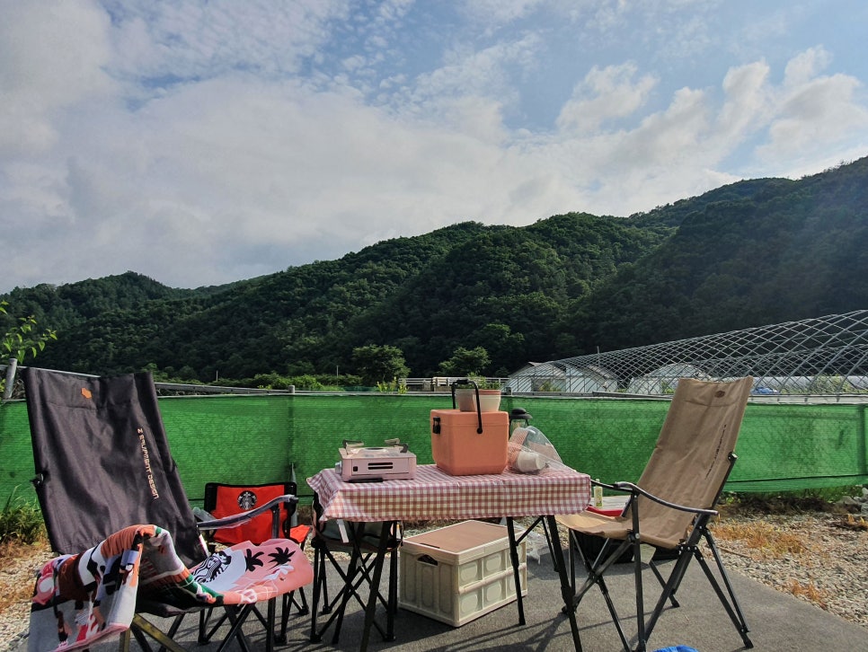 세움내움 이미지