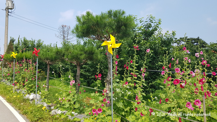 꽃길따라농장 이미지